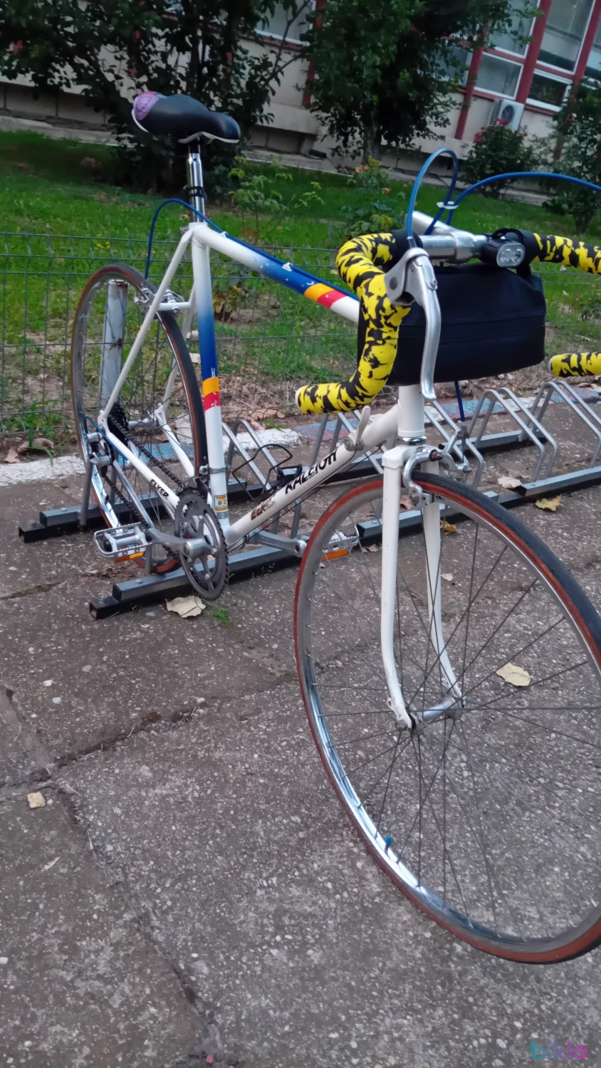 3. Raleigh vintage marimea L