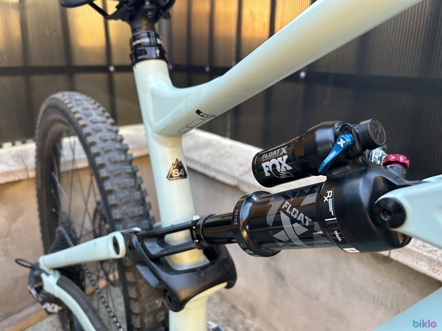 7. Specialized status 16