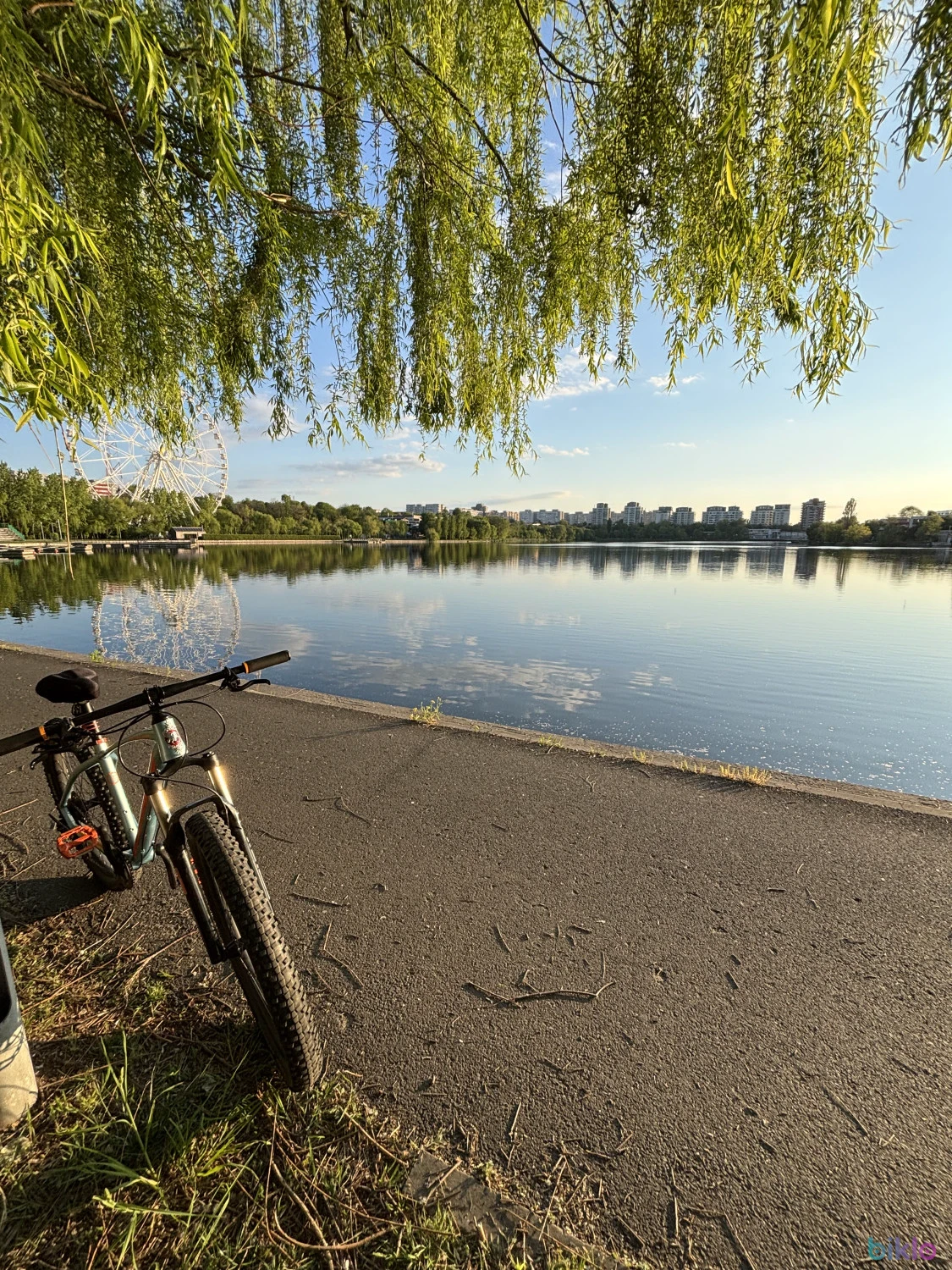 5. Pegas, 27.5x2.8, Magura Mt2