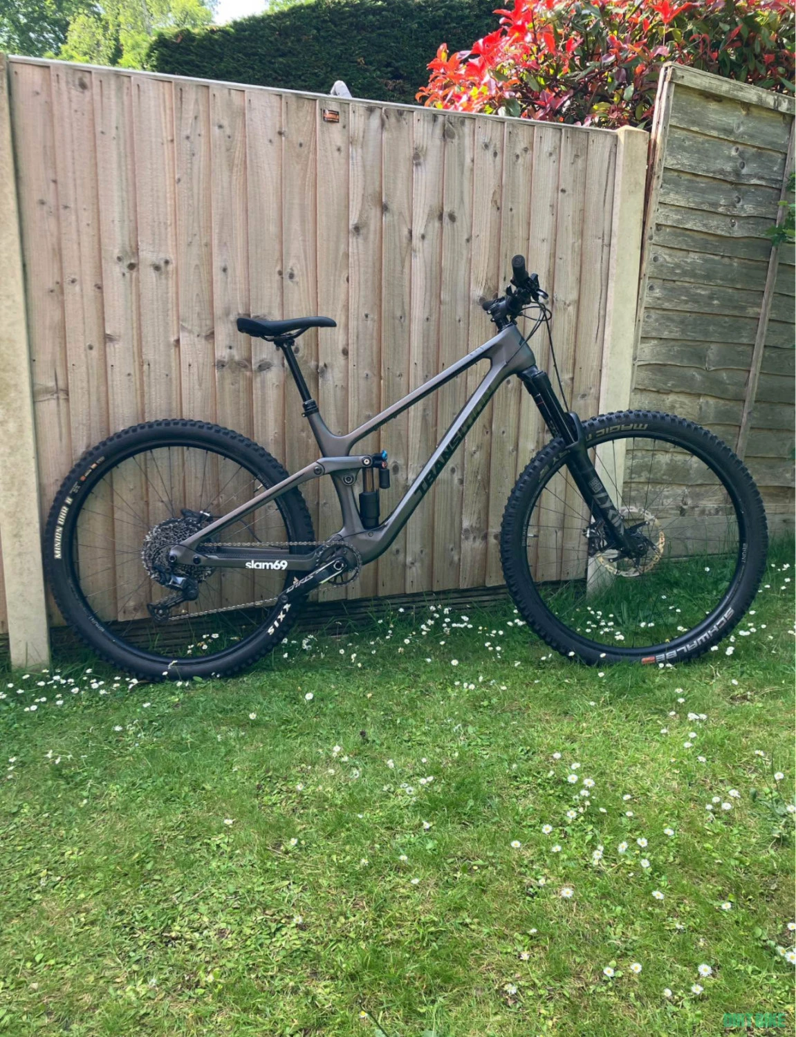 1. Transition sentinel Carbon (2021)