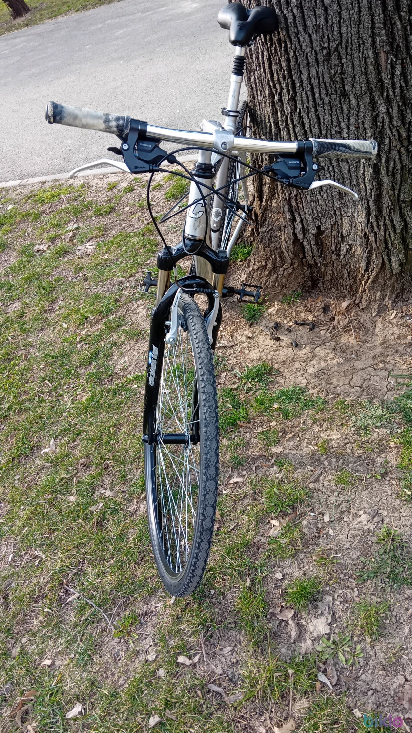 5. Bicicleta de oras