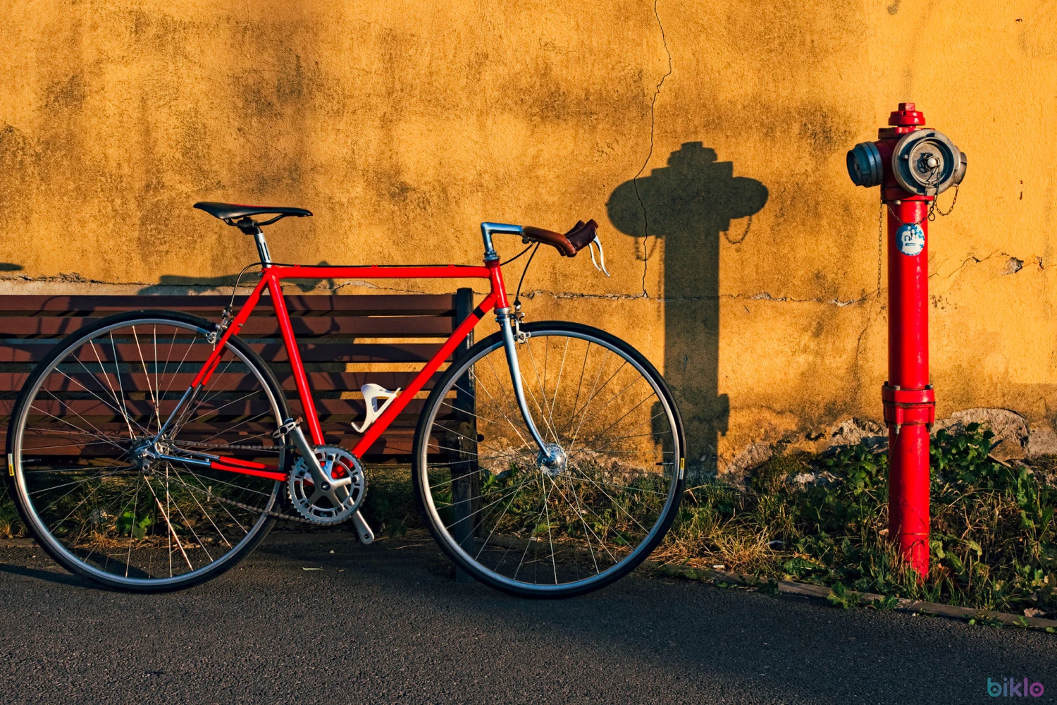 11. Single speed otel tange 2