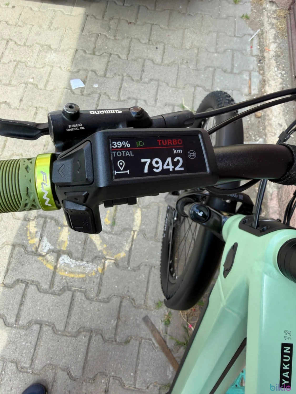 10. Bicicleta Electrica Winora/Yakun 12
