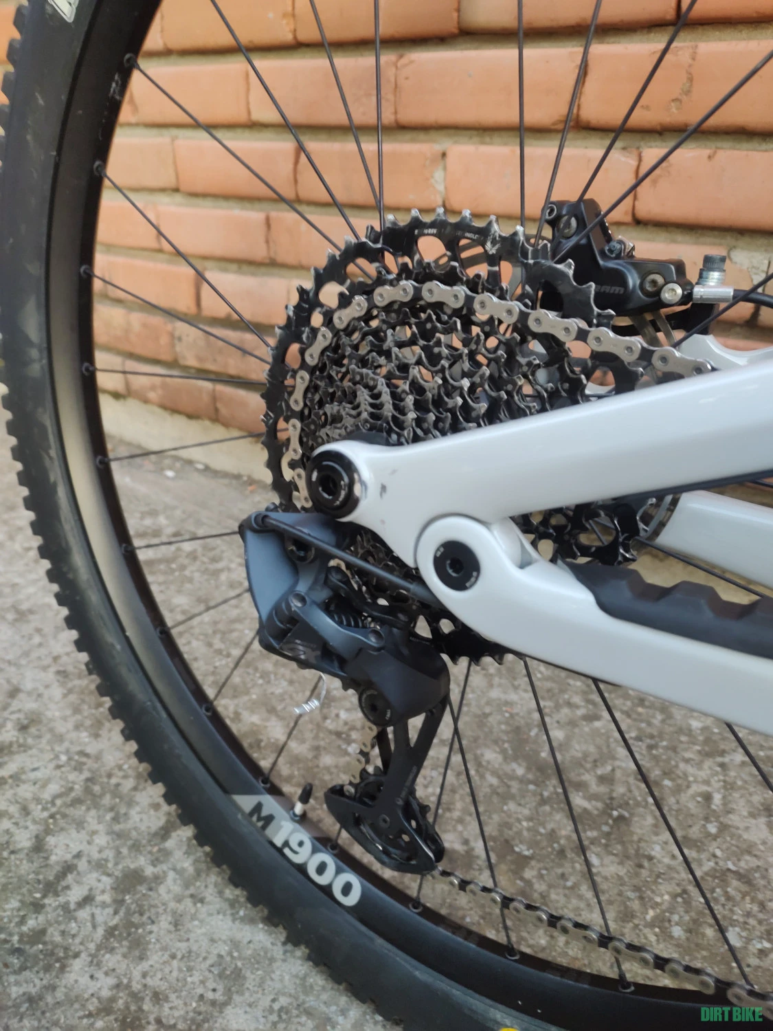 5. Canyon Spectral Carbon, 2023, 29, Enduro