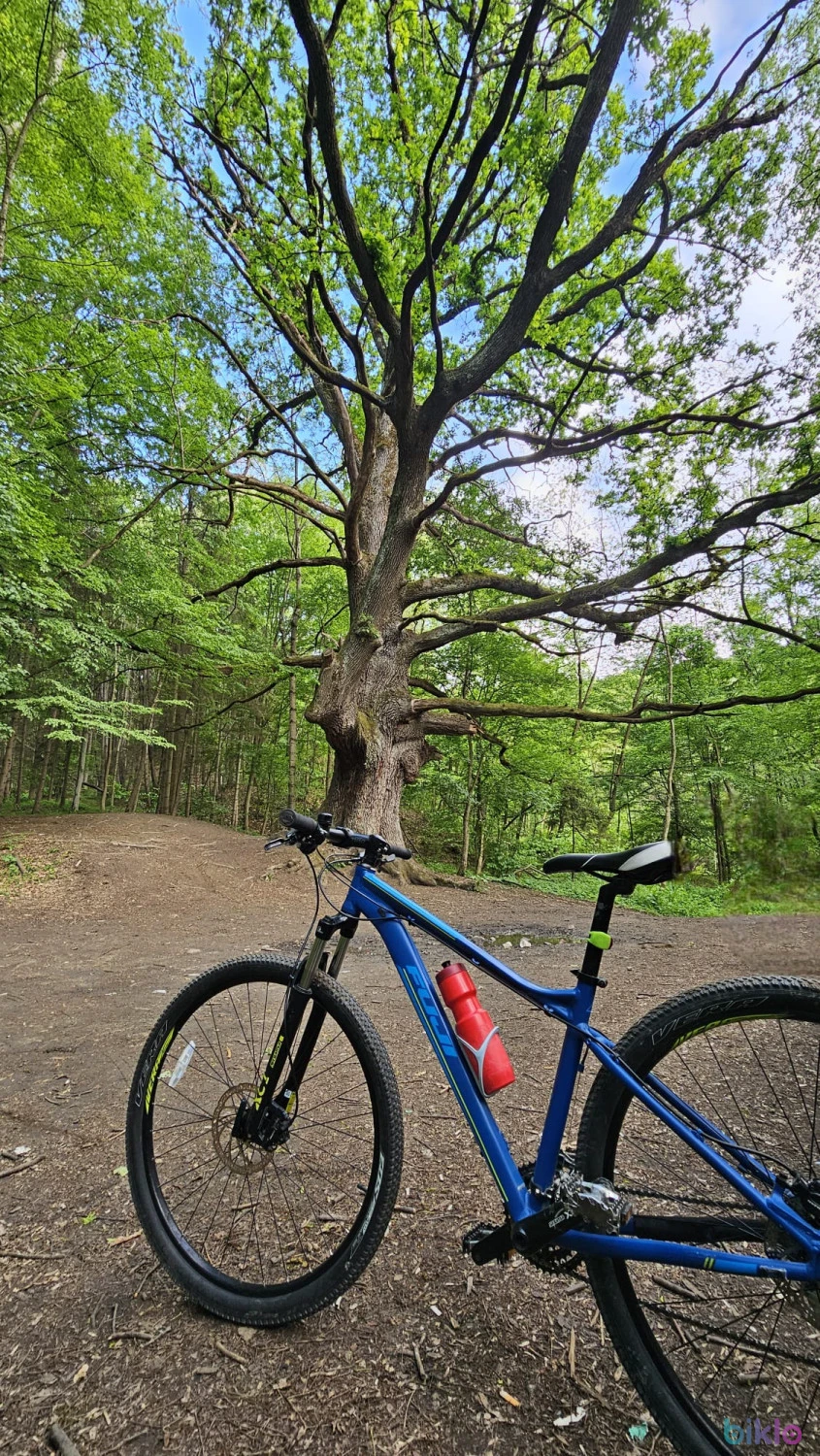 2. Bicicleta MTB Fuji stare buna 3x8 viteze