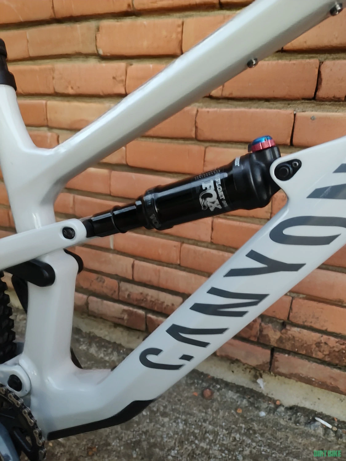 3. Canyon Spectral Carbon, 2023, 29, Enduro