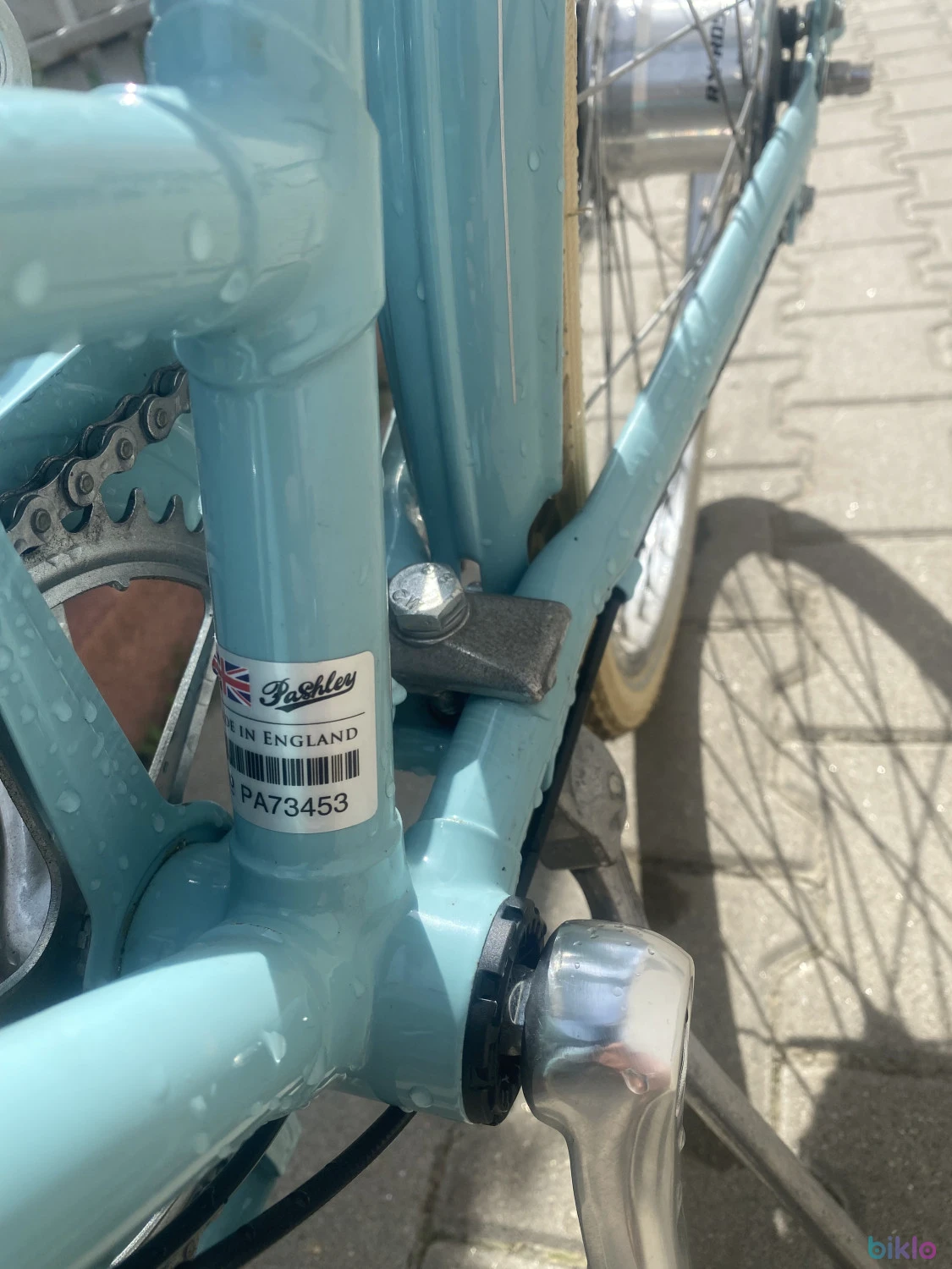6. PASHLEY BRITANNIA cauta doamna cocheta