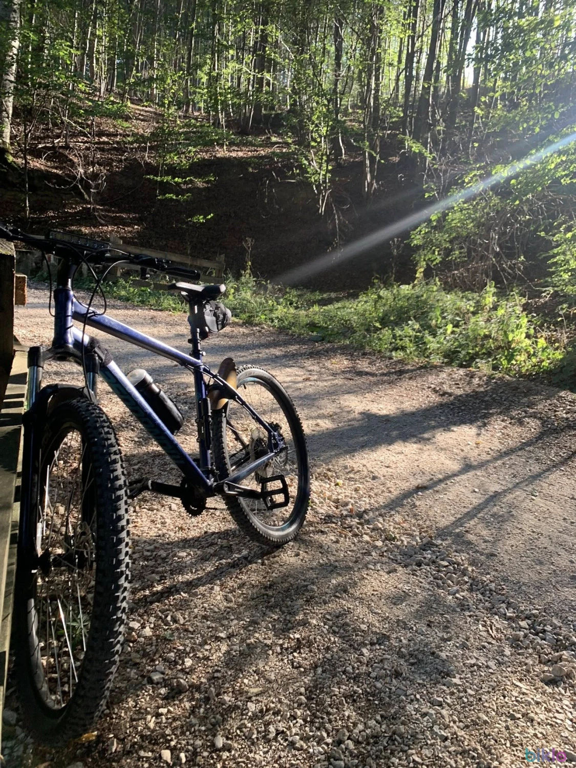 1. Mongoose Switchback Expert