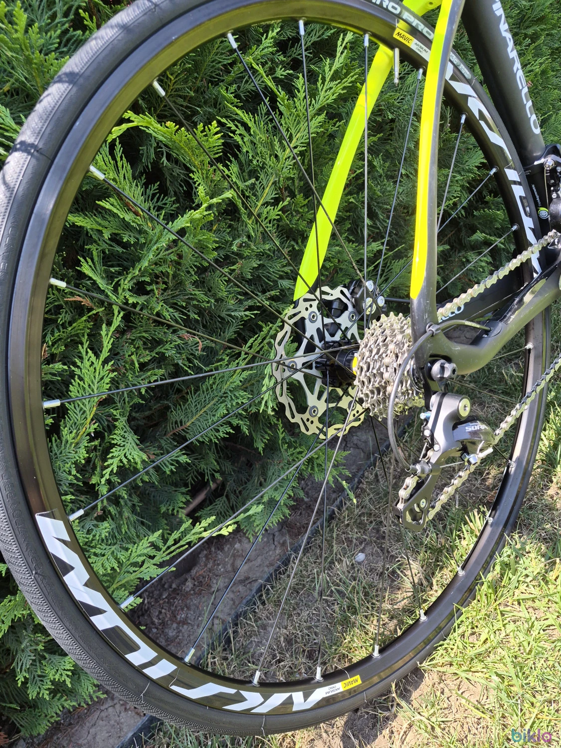 3. Cursieră PINARELLO Mercurio T2 Hydro Carbon – NOUĂ – Mărime M