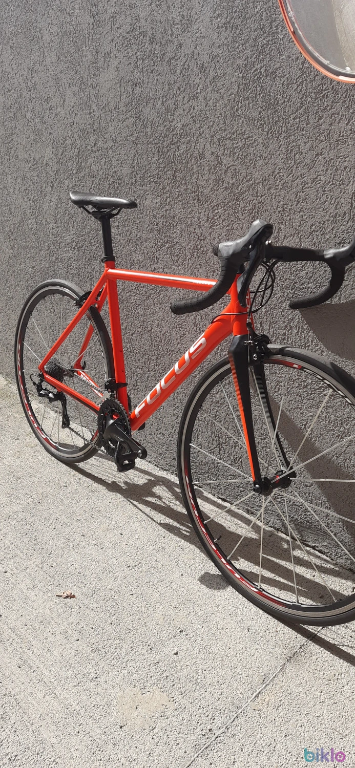 5. Focus Izalco Race (M - 54cm)