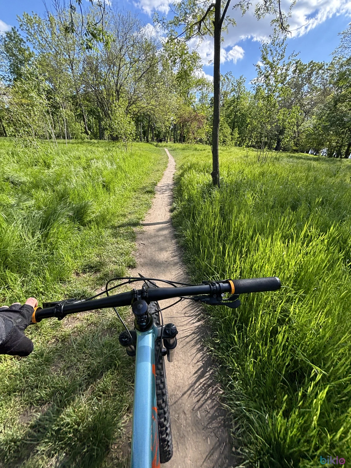 6. Pegas, 27.5x2.8, Magura Mt2