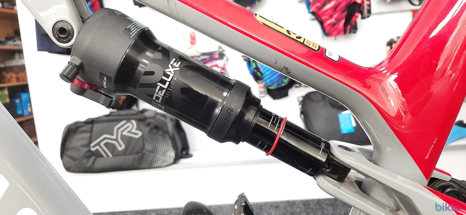 4. CANYON NEURON CF8