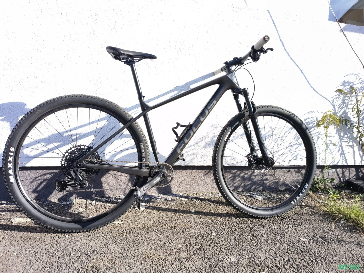 1. Focus Raven 29"