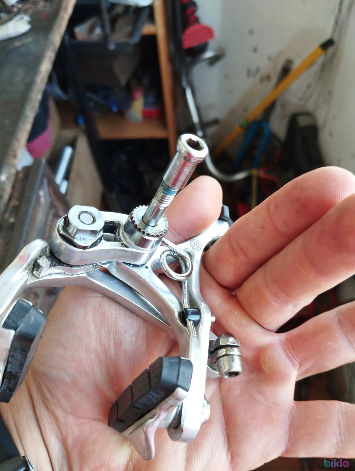 5. Frna fata Campagnolo Chorus Skeleton
