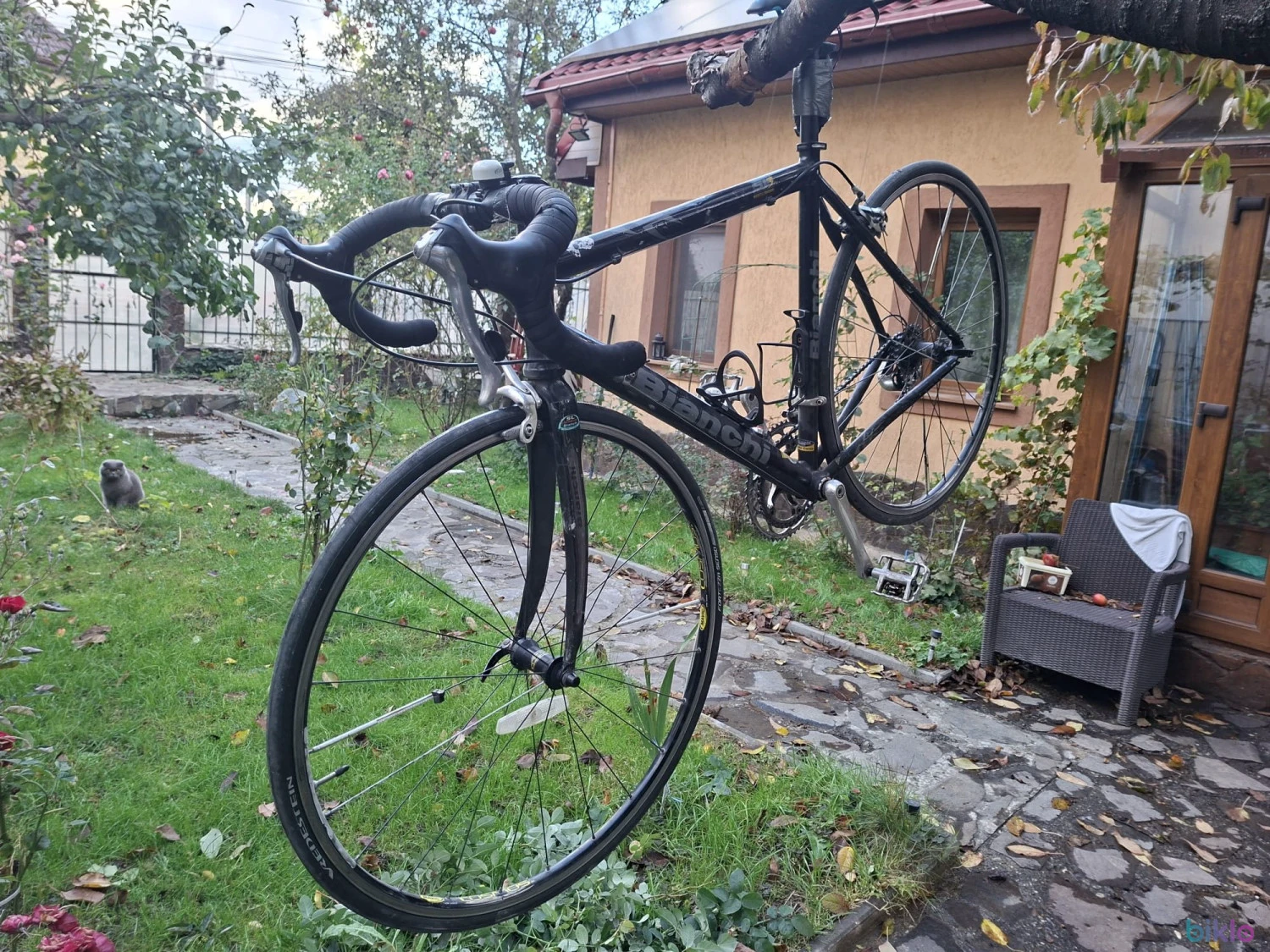 1. Cursiera Bianchi SL Lite Alloy