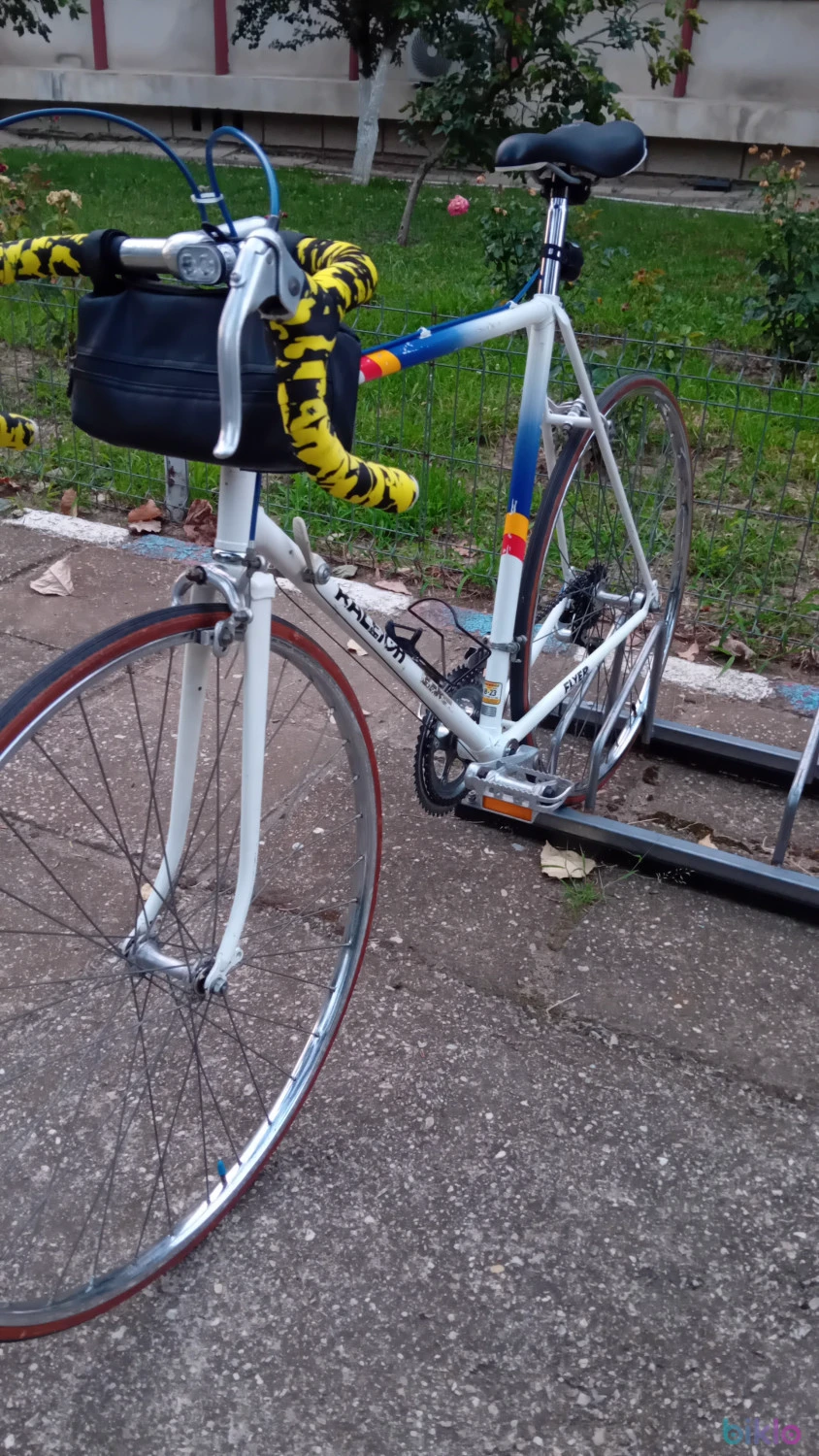 4. Raleigh vintage marimea L