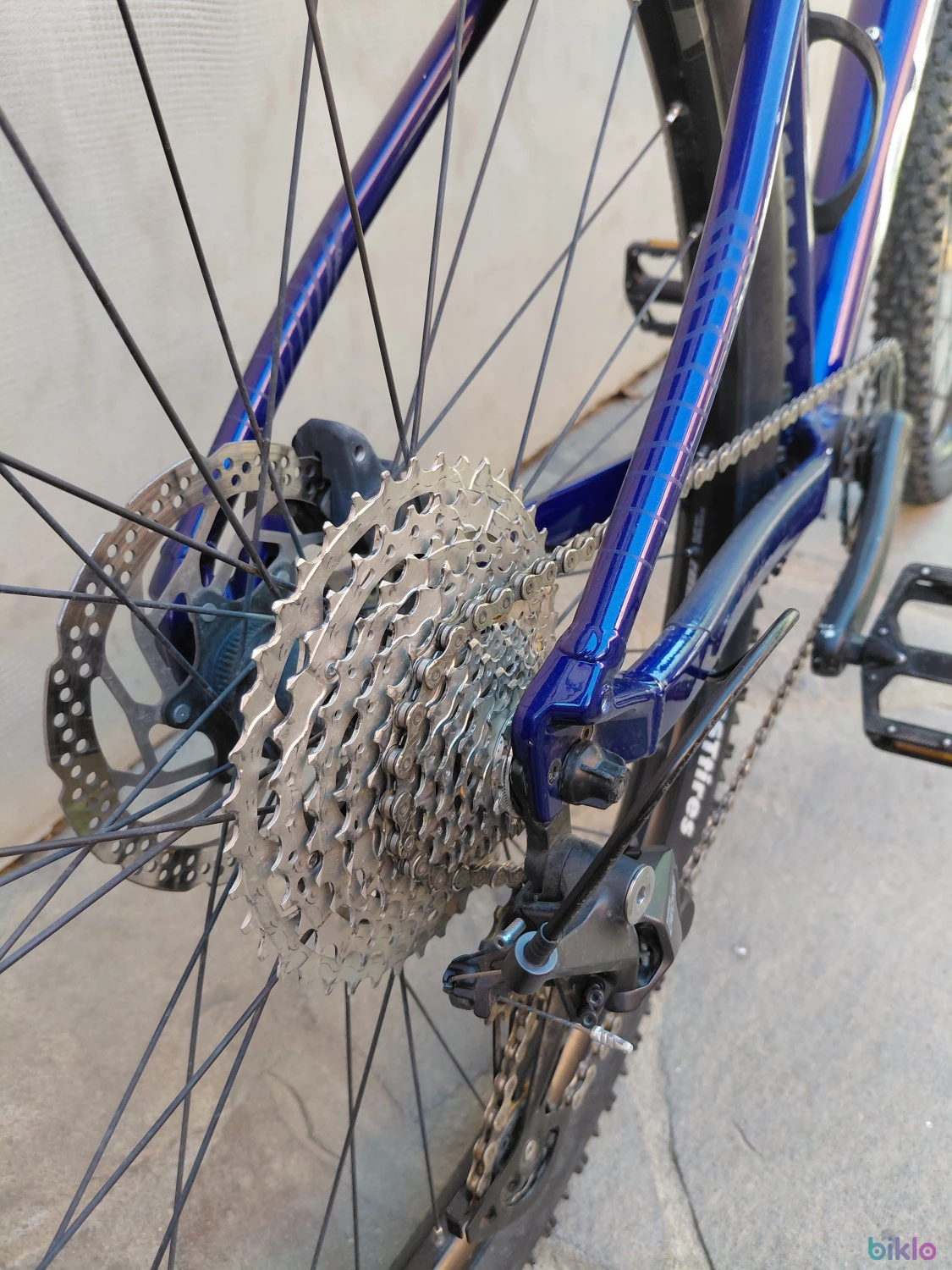12. Orbea Onna 10 MTB