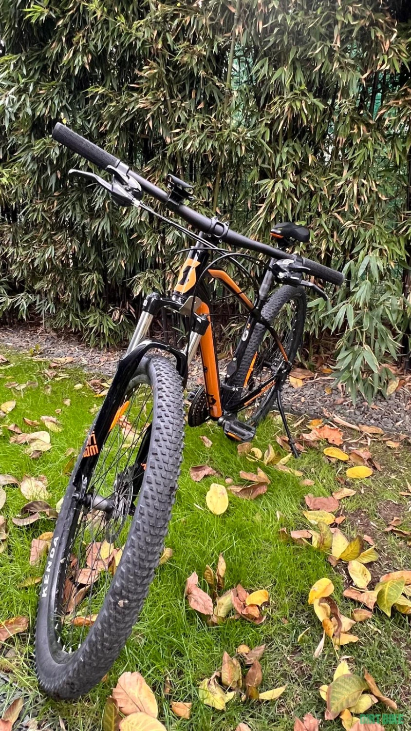 1. SCOTT ASPECT 970