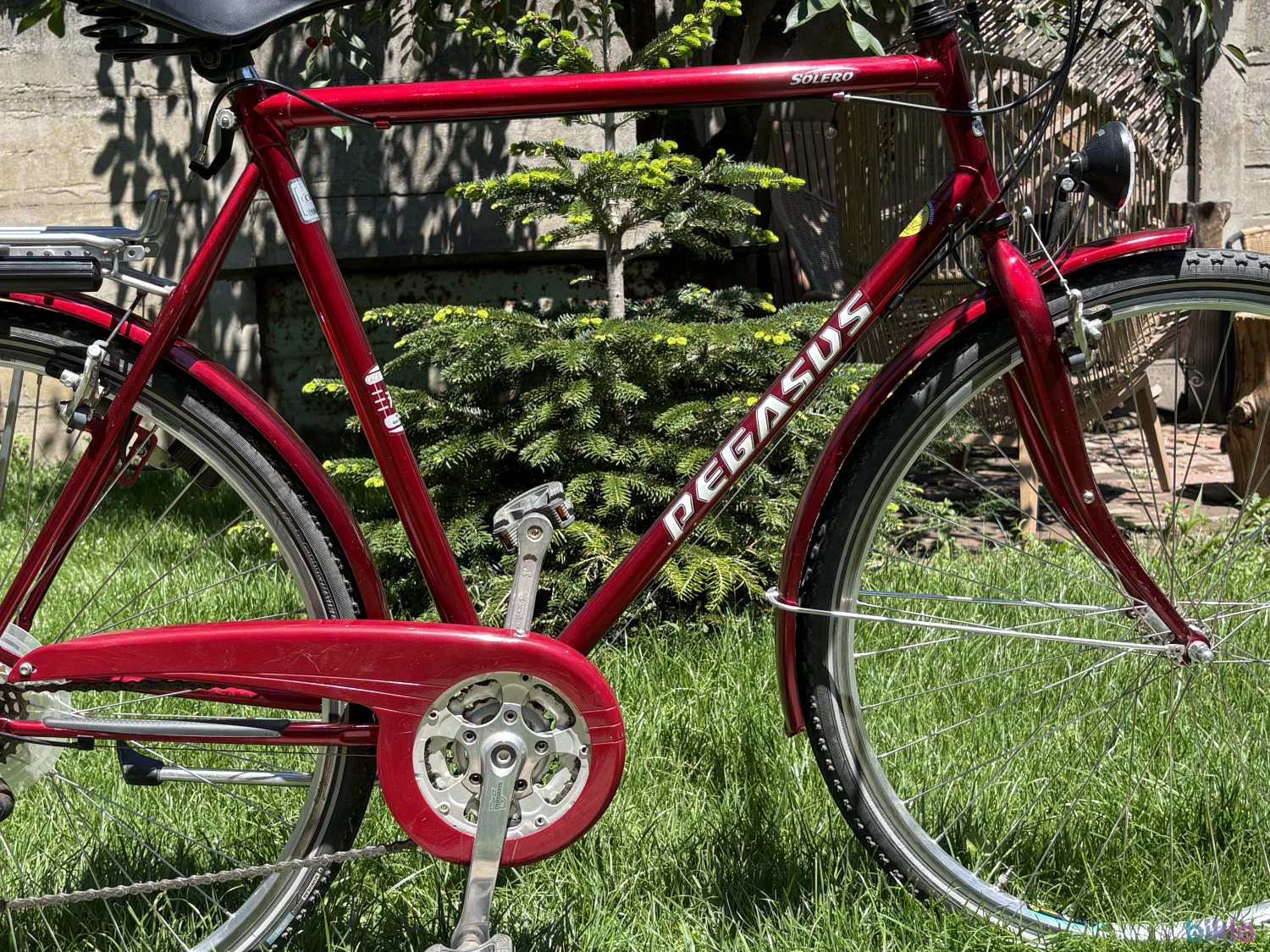 2. Bicicleta barbati