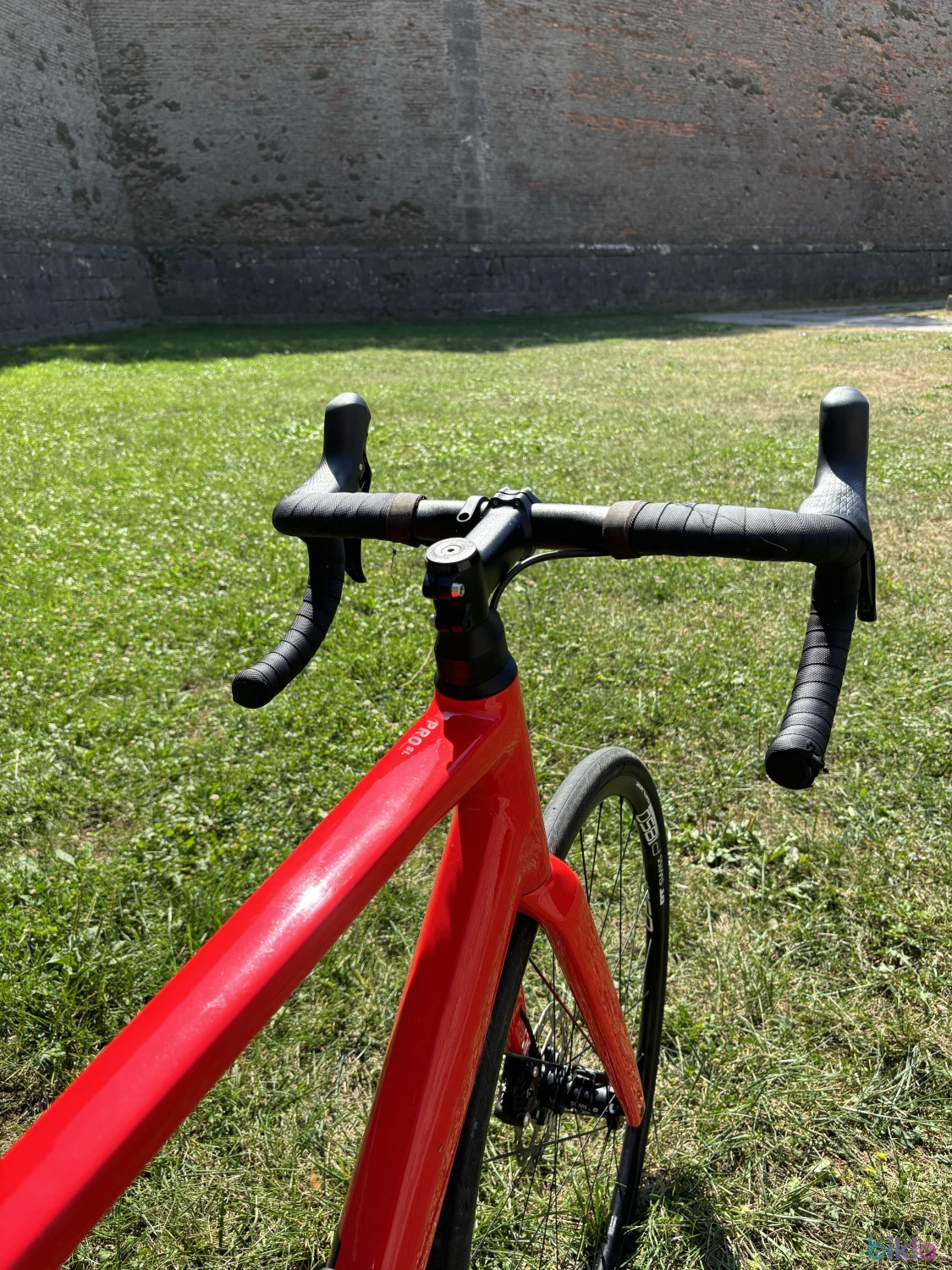 1. Cursieră Rose ProSL 105