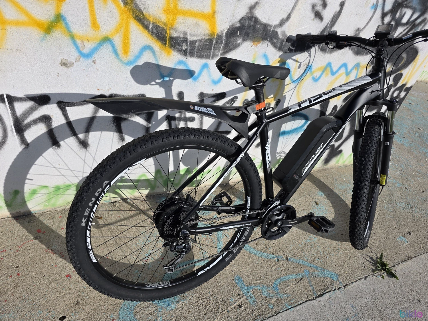 6. Fischer EM1724 e-bike roti29"
