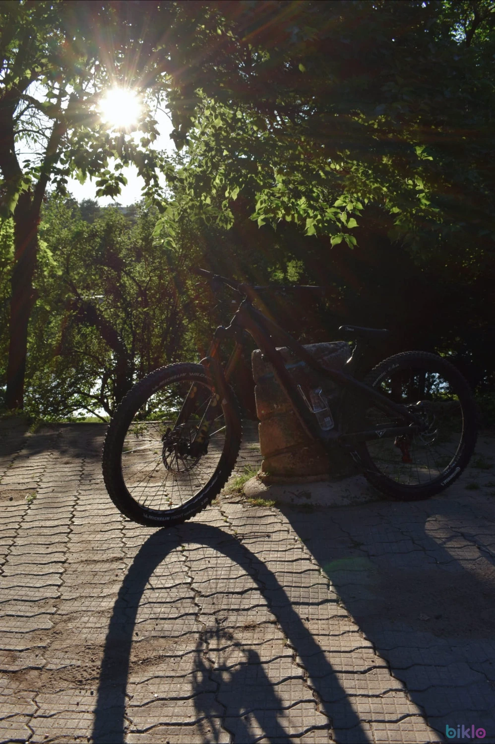4. Cadru Dartmoor Hornet Pro M + Headset