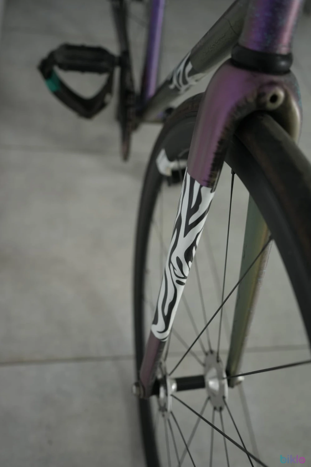8. Colossi Rambler Track