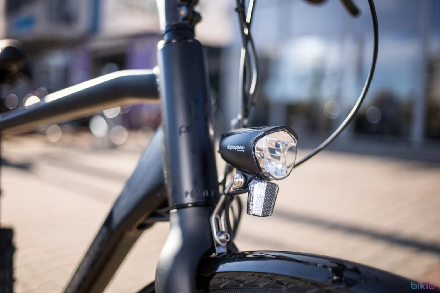7. E-Bike Prophete 51581 – 28 inch, XL