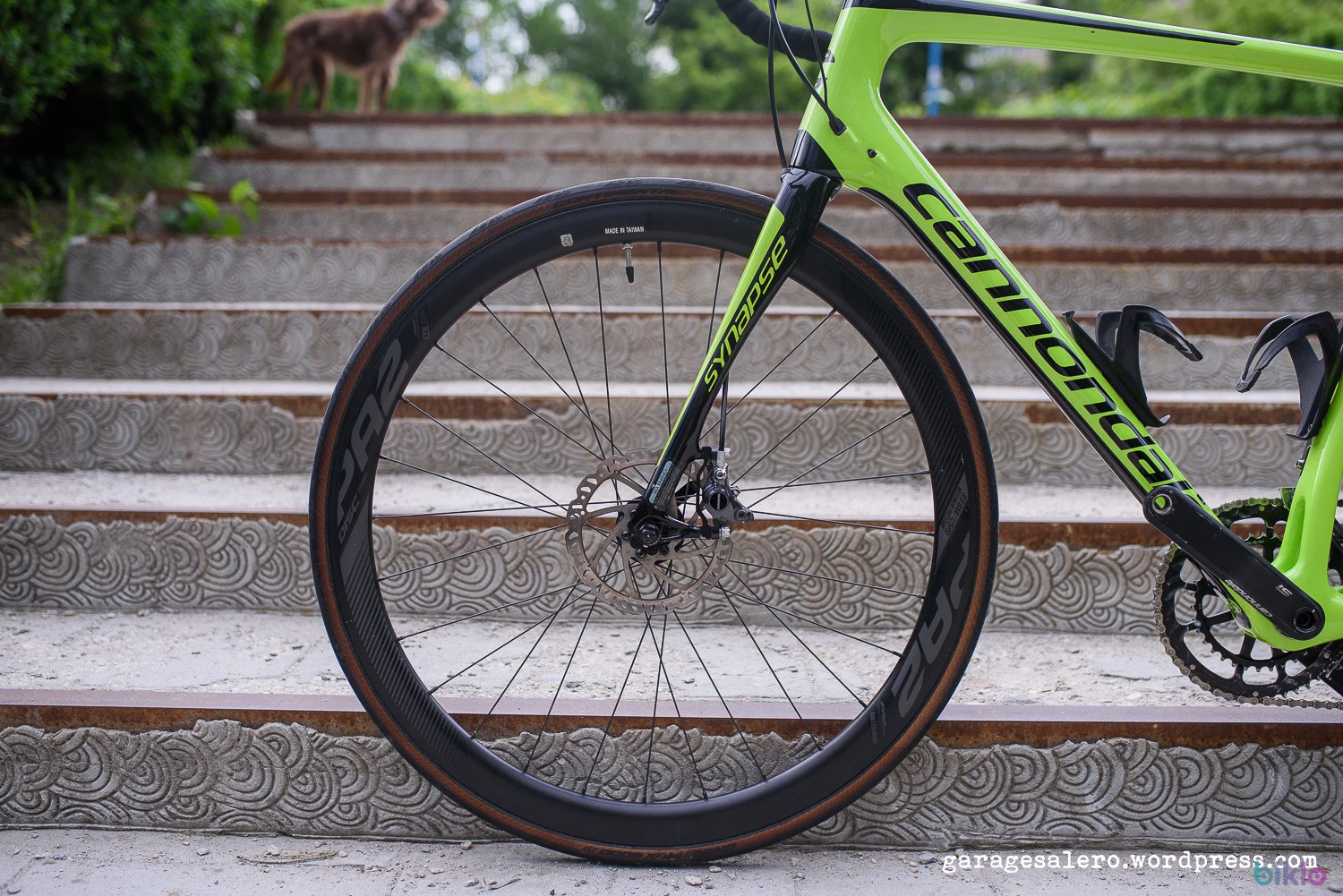 6. Cannondale Synapse carbon disc Ultegra Di2 roti aero Giant