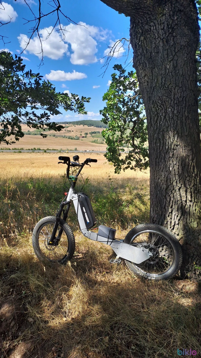 1. Scooter electric custom made