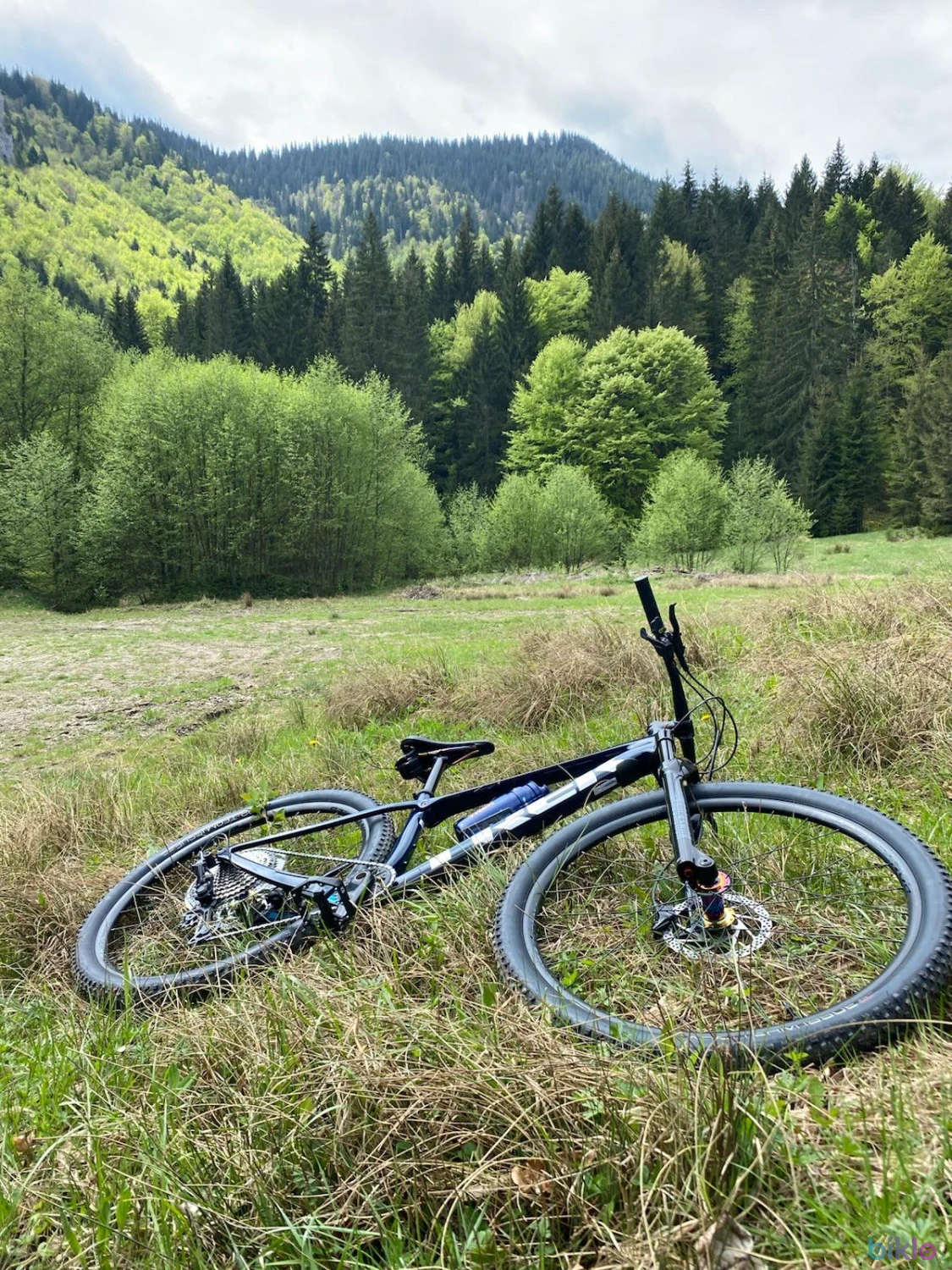2. Procaliber 9.6