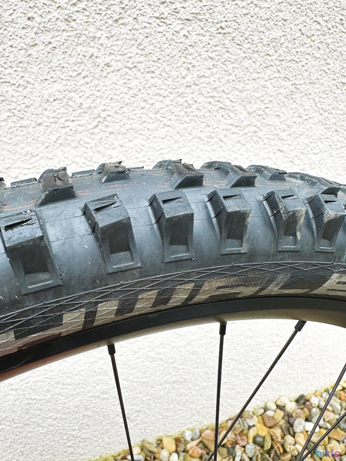 4. Pivot Firebird