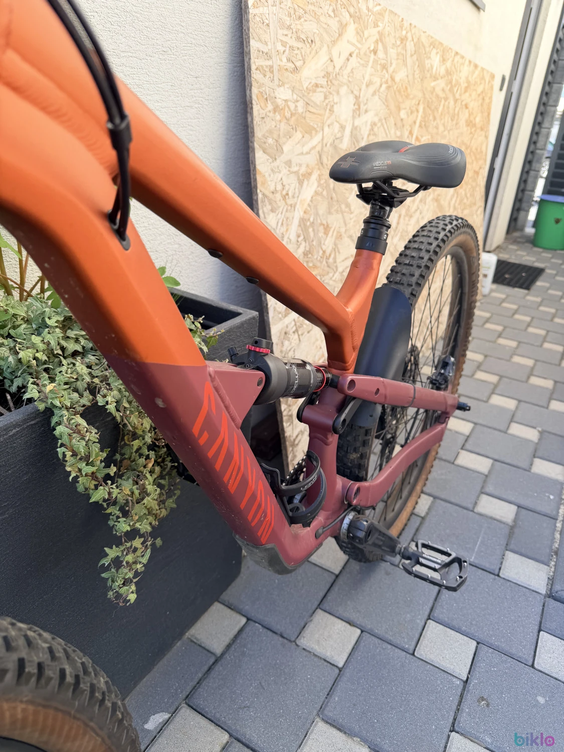 3. Canyon Spectral 125 AL 5 (2024)