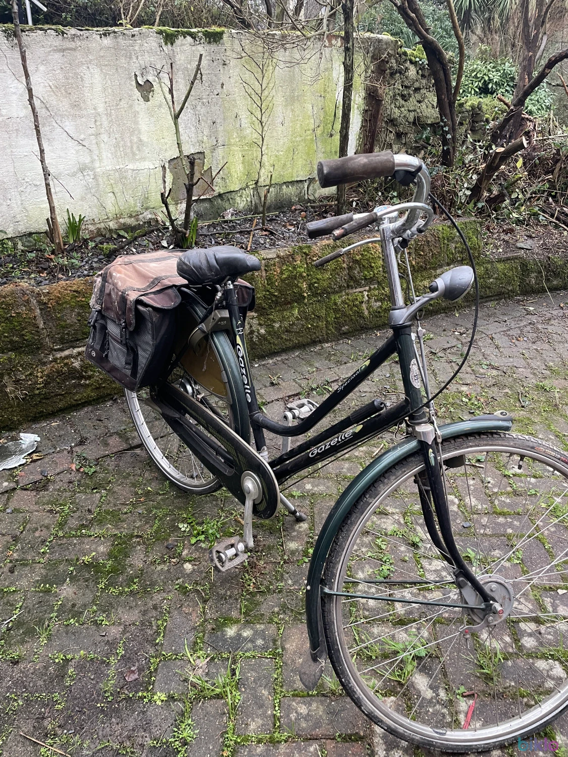 2. Ladies Dutch bike