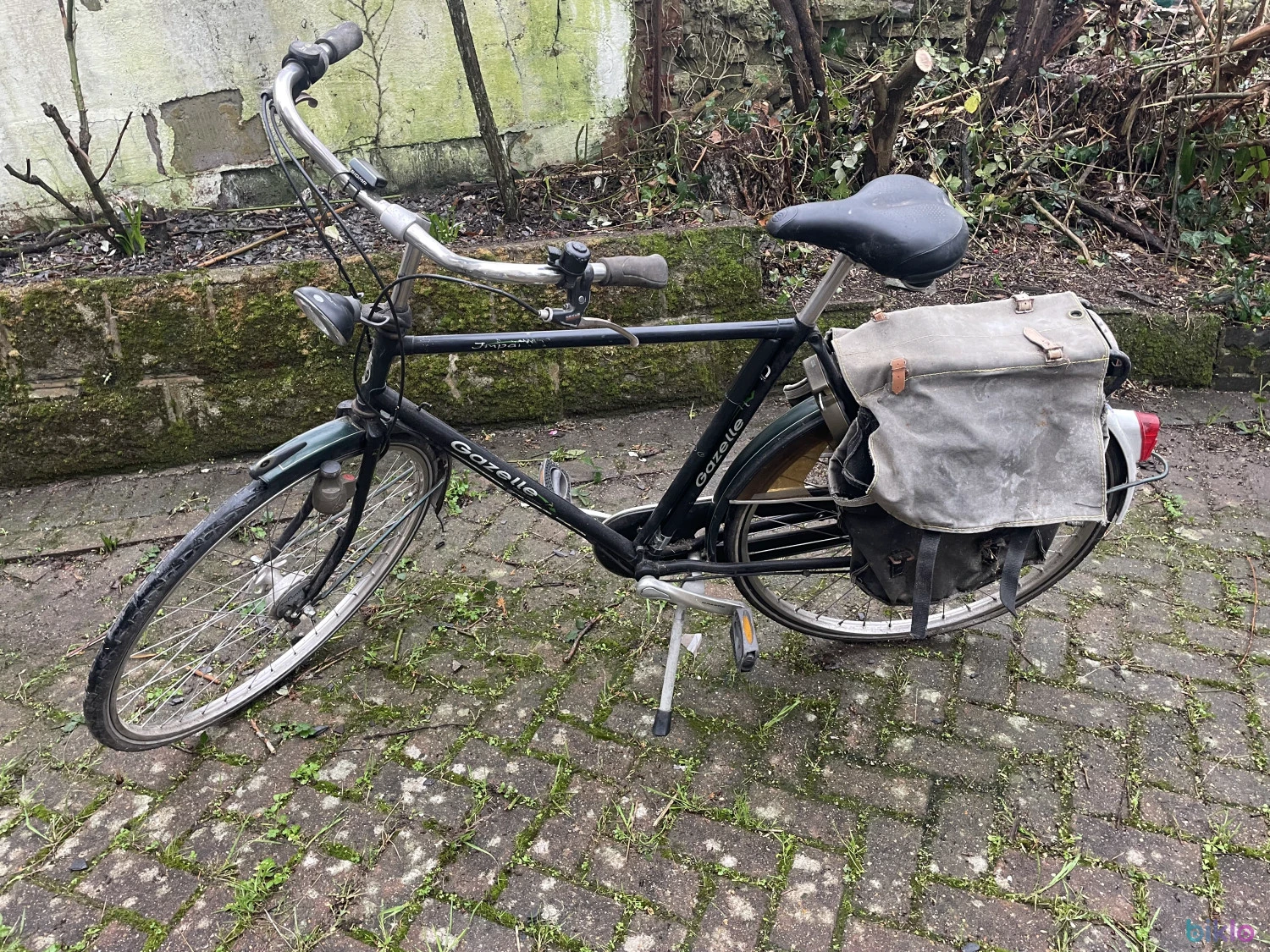 1. Dutch gazelle bike