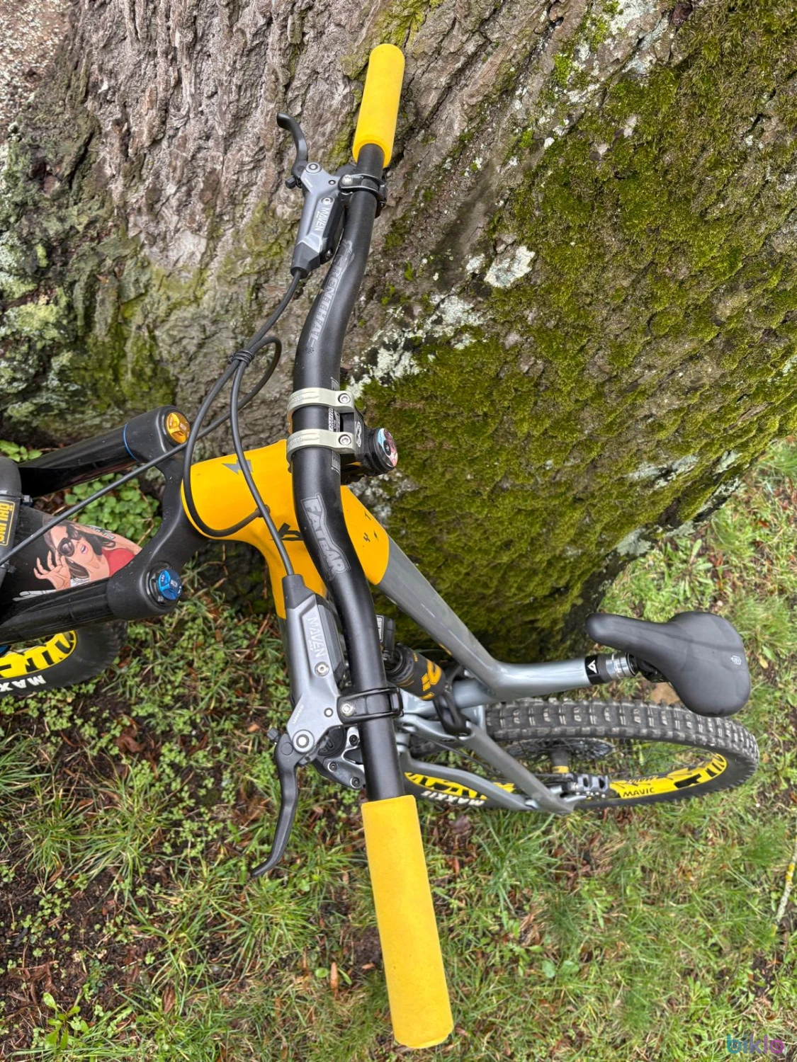 3. Yt industries capra