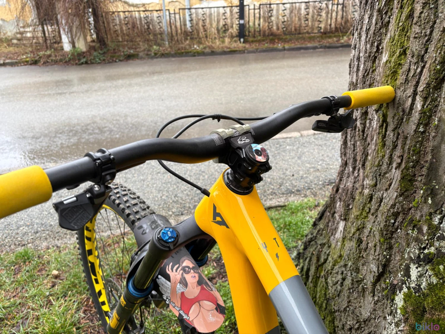 4. Yt industries capra