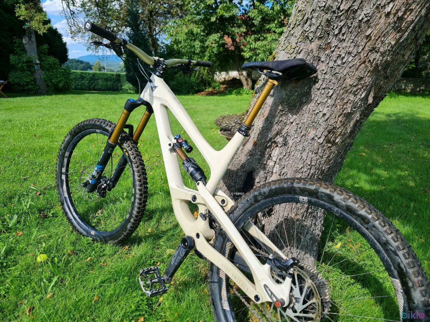 3. YT Capra CF Pro Race XL Enduro Downhill Bike