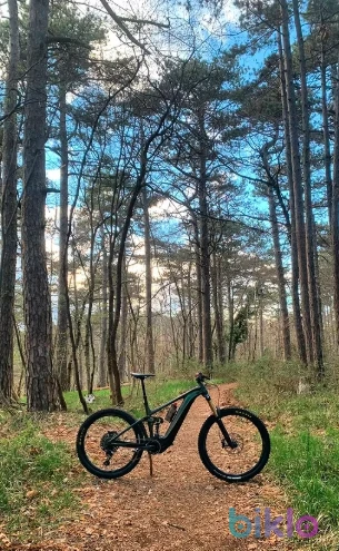 4. Giant Reign E+ 0 2022 Carbon E-MTB M 29/27.5