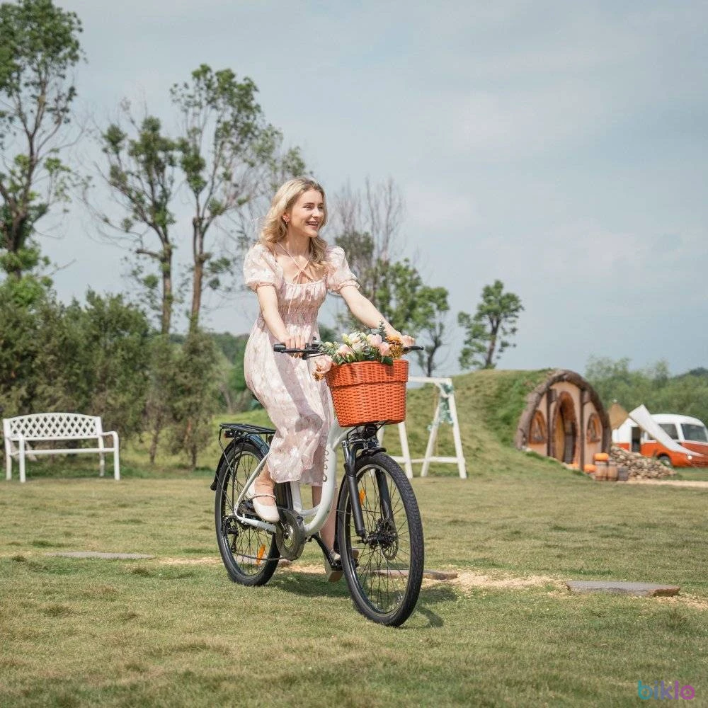 8. Electric Bicycle DYU C6 Adult 250W Motor 36V12.5AH Battery 26 inch Fat Tire city Electric Bike