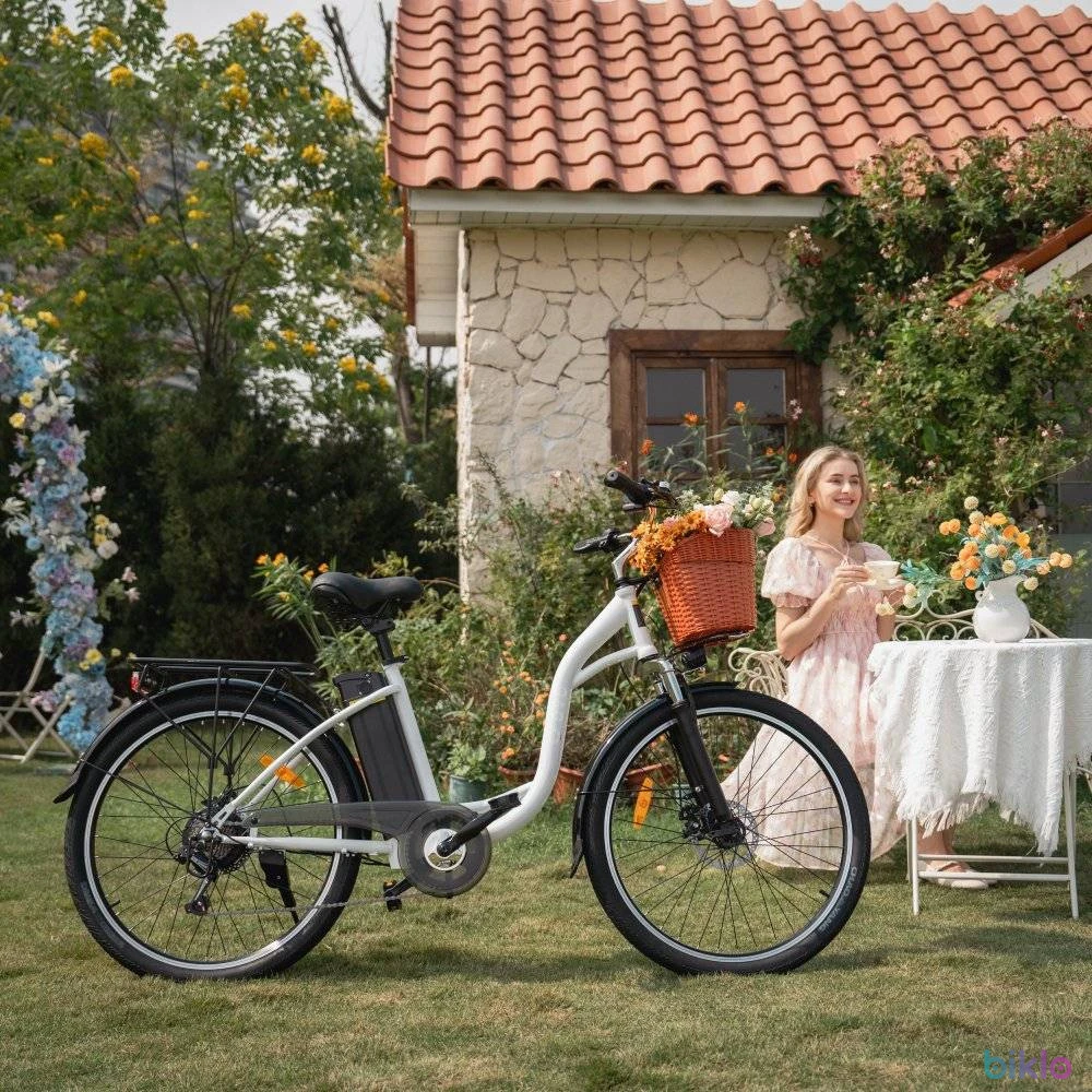 9. Electric Bicycle DYU C6 Adult 250W Motor 36V12.5AH Battery 26 inch Fat Tire city Electric Bike