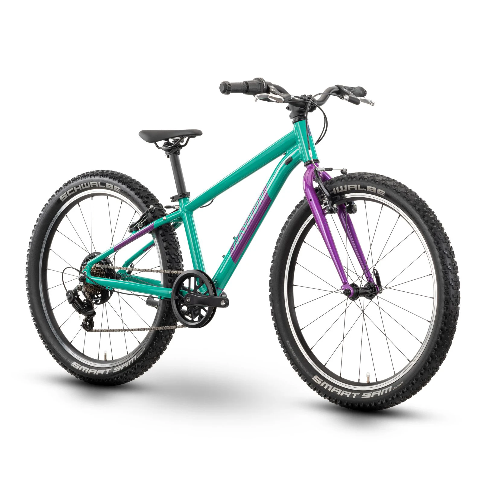 1. Bicicleta Copii Raymon Yanga 24 2025 - 24 Inch, Verde - TY200