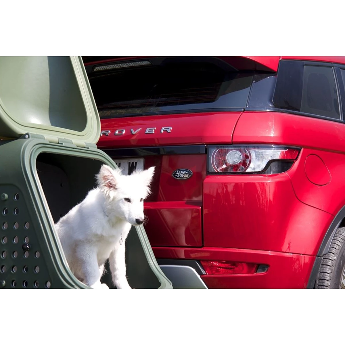 4. Cutie portbagaj pe carligul de remorcare Towbox V2 DOG Negru