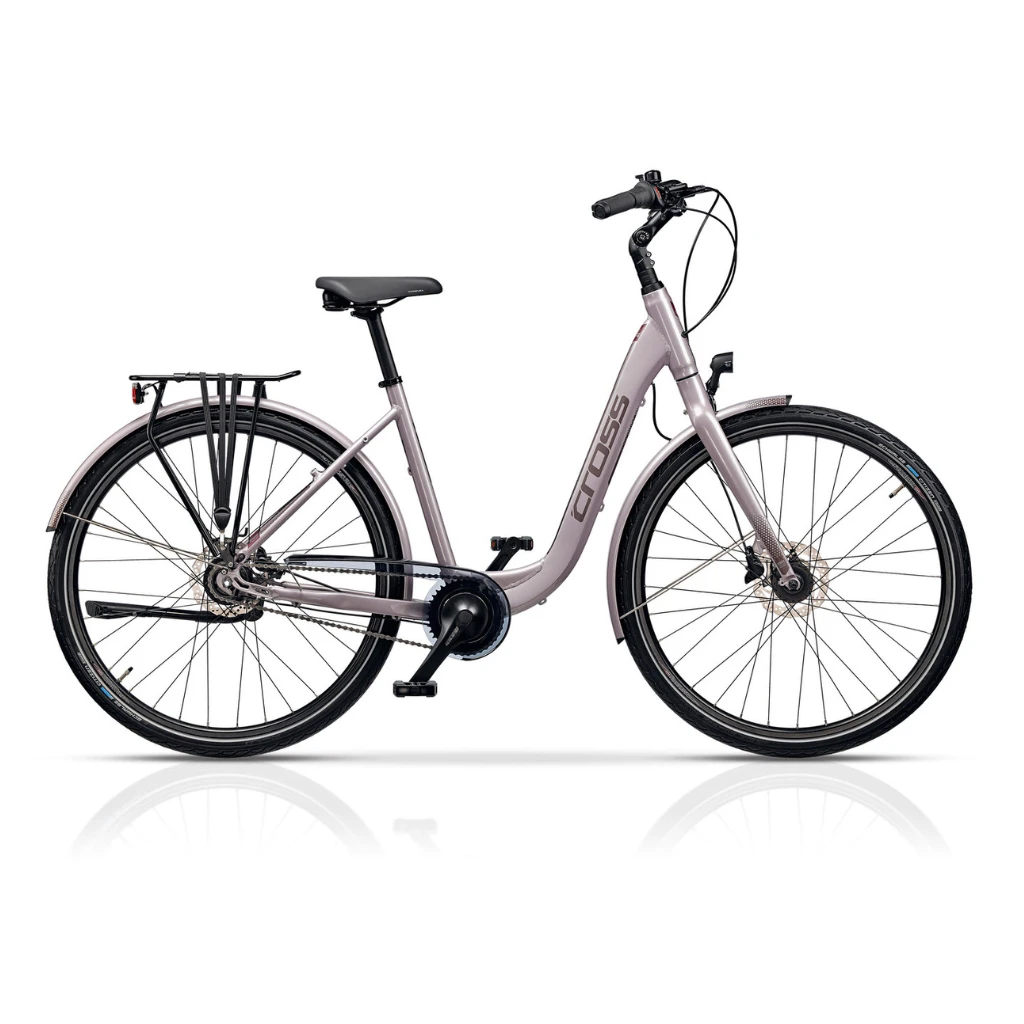 1. City Bike Cross Prolog IGH LS XXL, 28", argintiu-gri 45 cm
