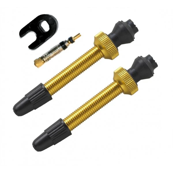 1. Valve tubeless bicicleta Barbieri, culoare Alloy Gold, lungime 45 mm