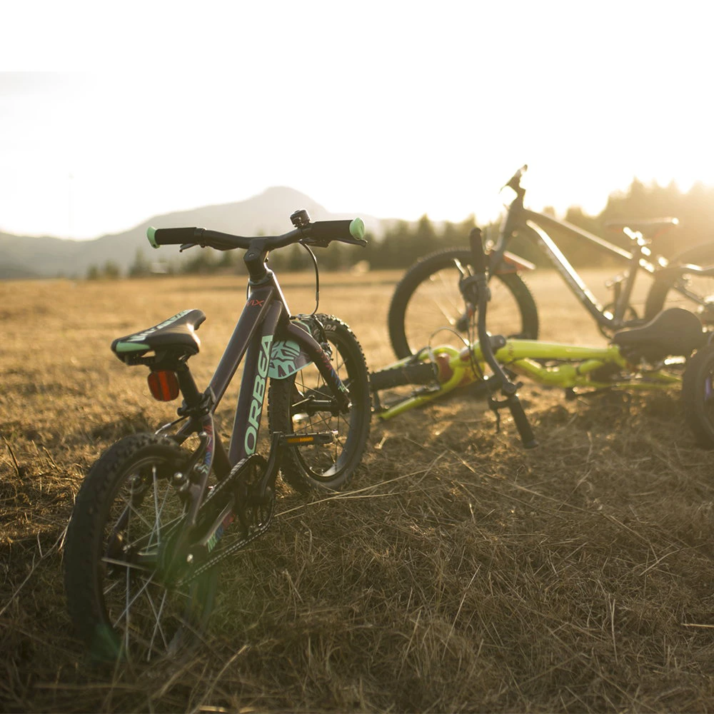 2. Orbea - bicicleta copii MX 24 Park - albastru-rosu