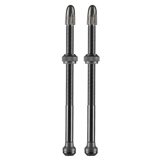 1. Ventil SCHWALBE Tubeless (Set) 100mm