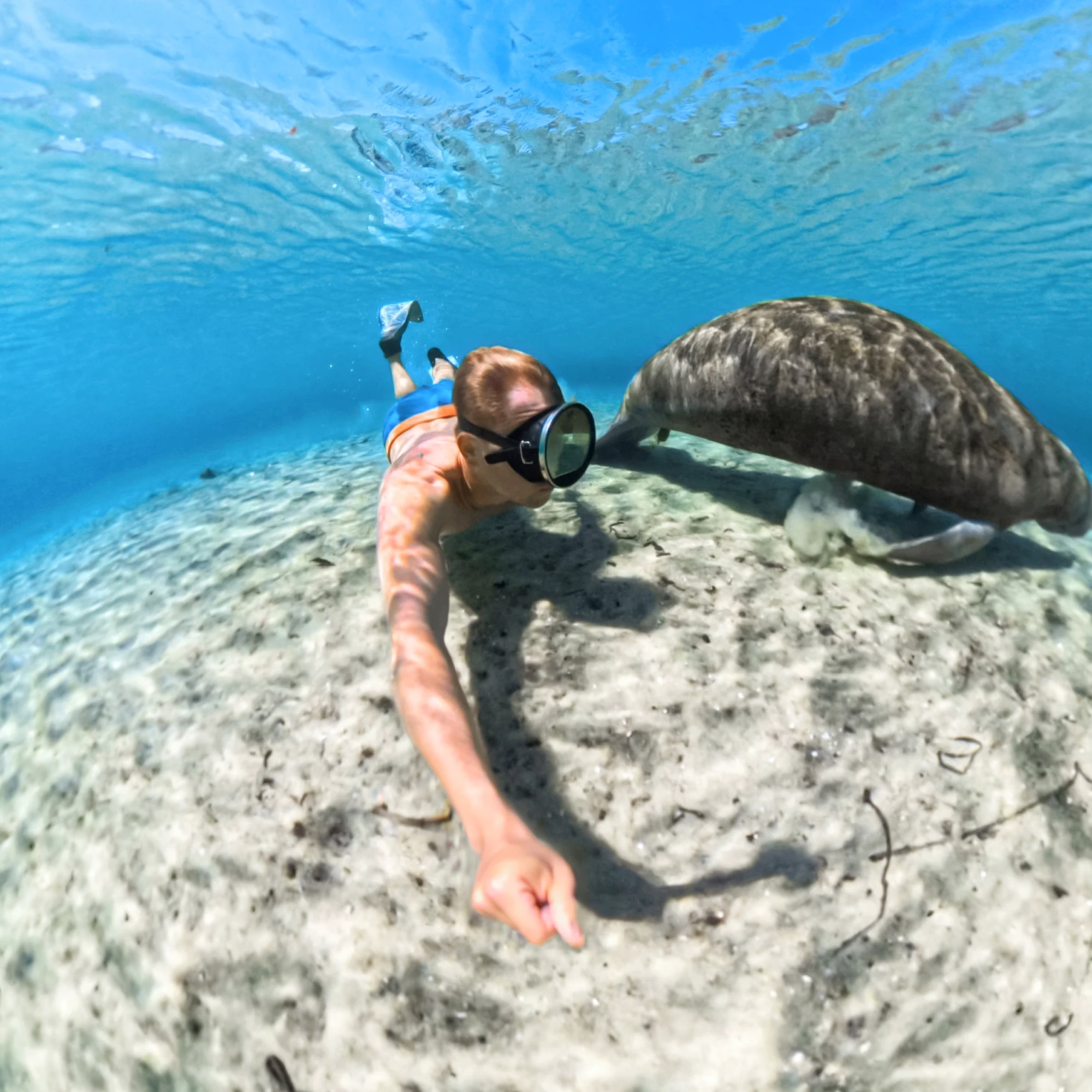 6. Carcasă scufundări Insta360 X5 Invisible Dive Case | waterproof 60m
