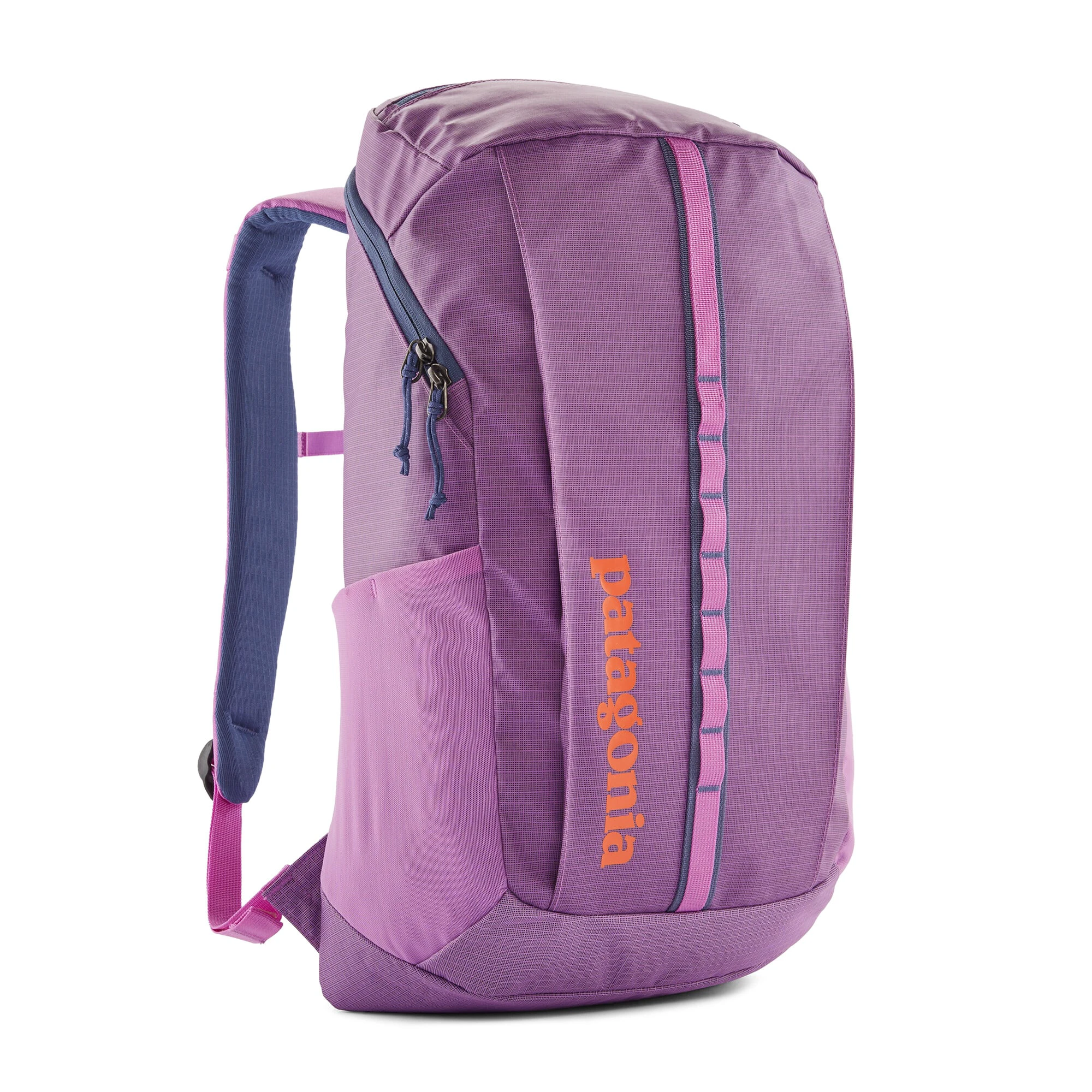 1. Rucsac Patagonia Black Hole Pack 25L - verde petrol cu roz