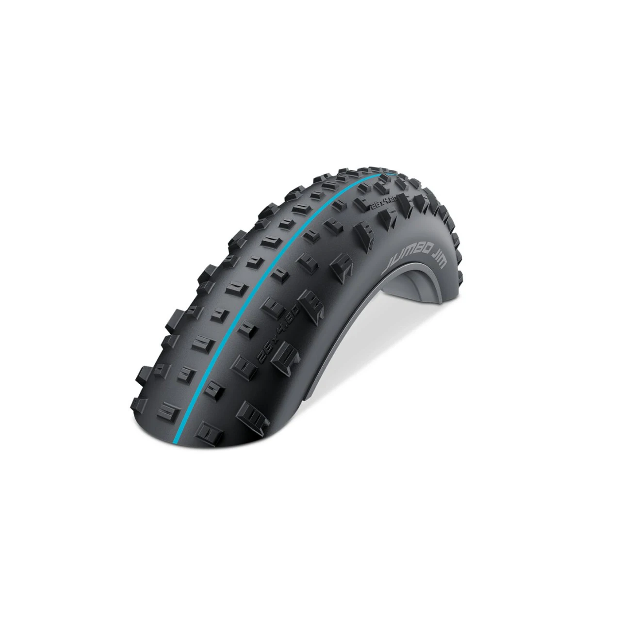 1. ANVELOPA SCHWALBE JUMBO JIM EVOLUTION 26 X 4,00 (100-559) NEGRU